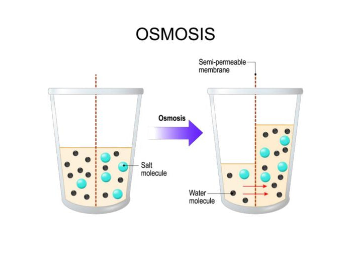 【箱無しで値下げ可】 ラションブ Trois Eau Soins トリートメント Trois Eau De Soins KIT – La ChomB JAPAN